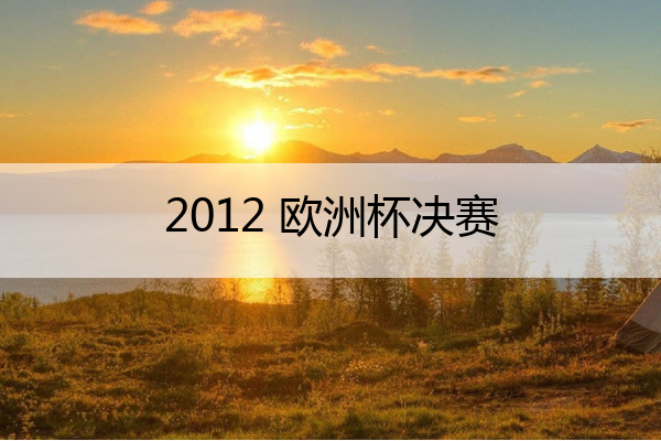 2012 欧洲杯决赛 2012欧洲杯决赛阵容