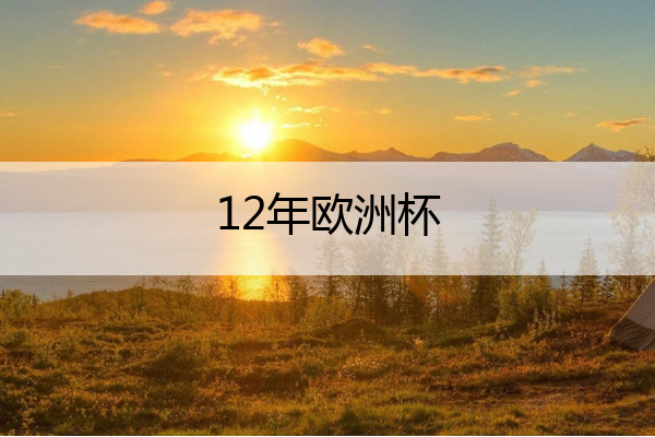 12年欧洲杯 12年欧洲杯荷兰