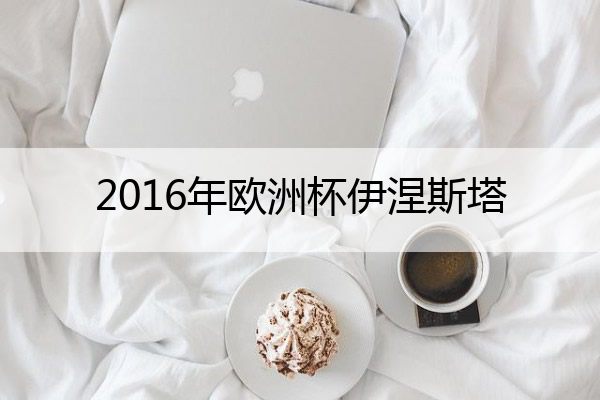 2016年欧洲杯伊涅斯塔 2021欧洲杯伊涅斯塔