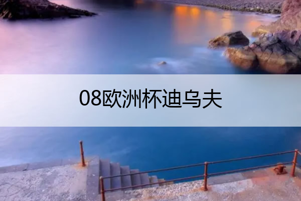 08欧洲杯迪乌夫