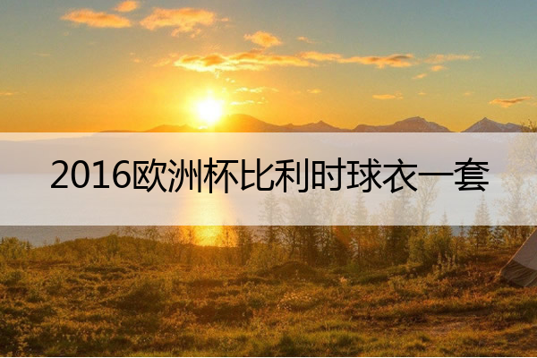 2016欧洲杯比利时球衣一套(比利时欧洲杯2016阵容)