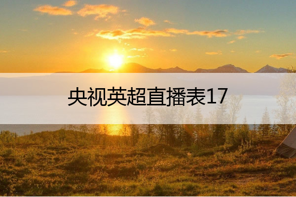 央视英超直播表17(英超央视网)
