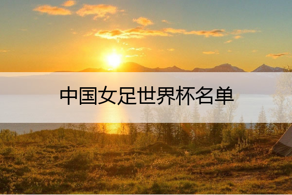 中国女足世界杯名单_中国女足世界杯亚军成员