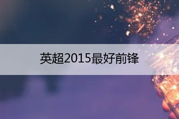英超2015最好前锋(2015英超冠军是谁)
