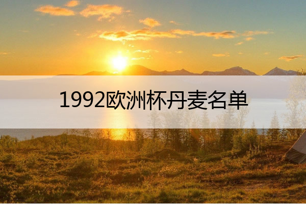 1992欧洲杯丹麦名单,1992年欧洲杯丹麦阵容