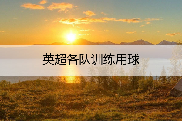 英超各队训练用球(英超各队训练用球图片)
