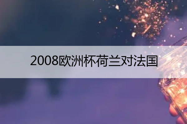 2008欧洲杯荷兰对法国,2008荷兰vs法国
