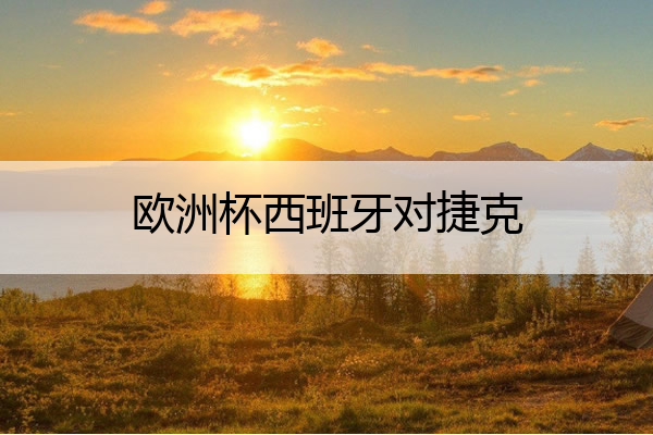 欧洲杯西班牙对捷克,欧洲杯西班牙配对