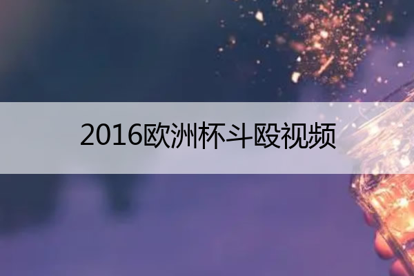 2016欧洲杯斗殴视频,2016欧洲杯斗殴视频回放