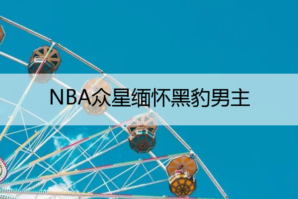 NBA众星缅怀黑豹男主,nba众星缅怀黑豹男主角是谁