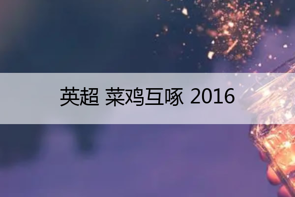 英超 菜鸡互啄 2016,