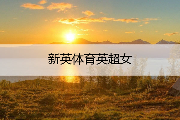 新英体育英超女(新英体育网直播)