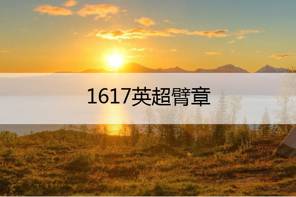 1617英超臂章 英超肩章