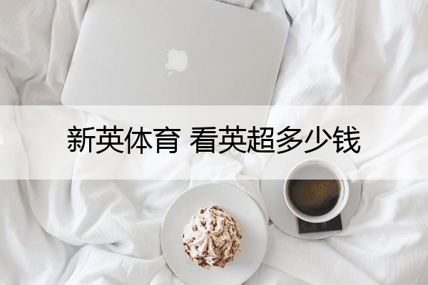 新英体育 看英超多少钱(新英体育网直播)