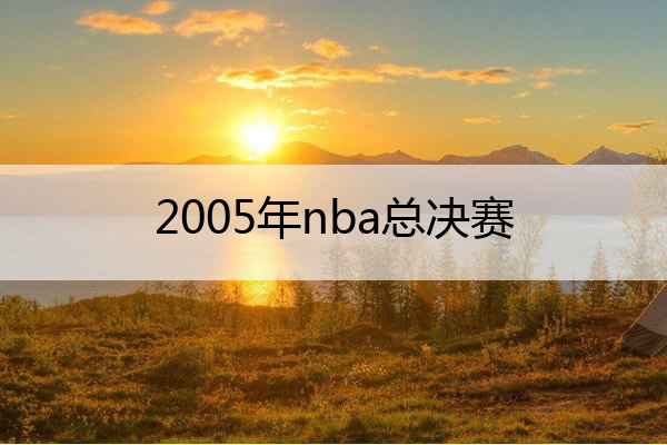 2005年nba总决赛(2005nba总决赛数据统计)
